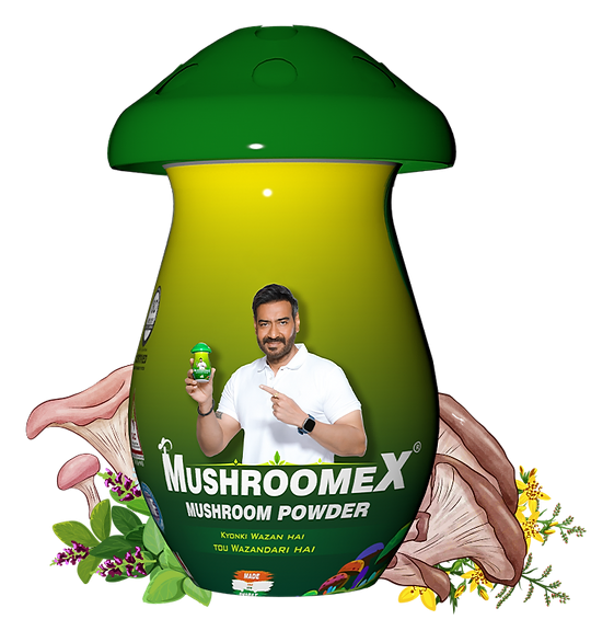 MushroomeX-Box-with-Aj